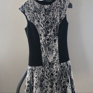 Fit and Flare Scuba Ted Baker Dress